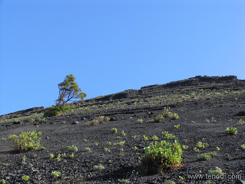 LaPalma (022).JPG